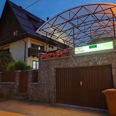 Casa Mina Hotell Buşteni Exteriör bild