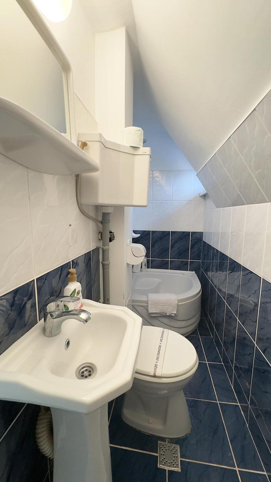 Casa Mina Hotell Buşteni Exteriör bild